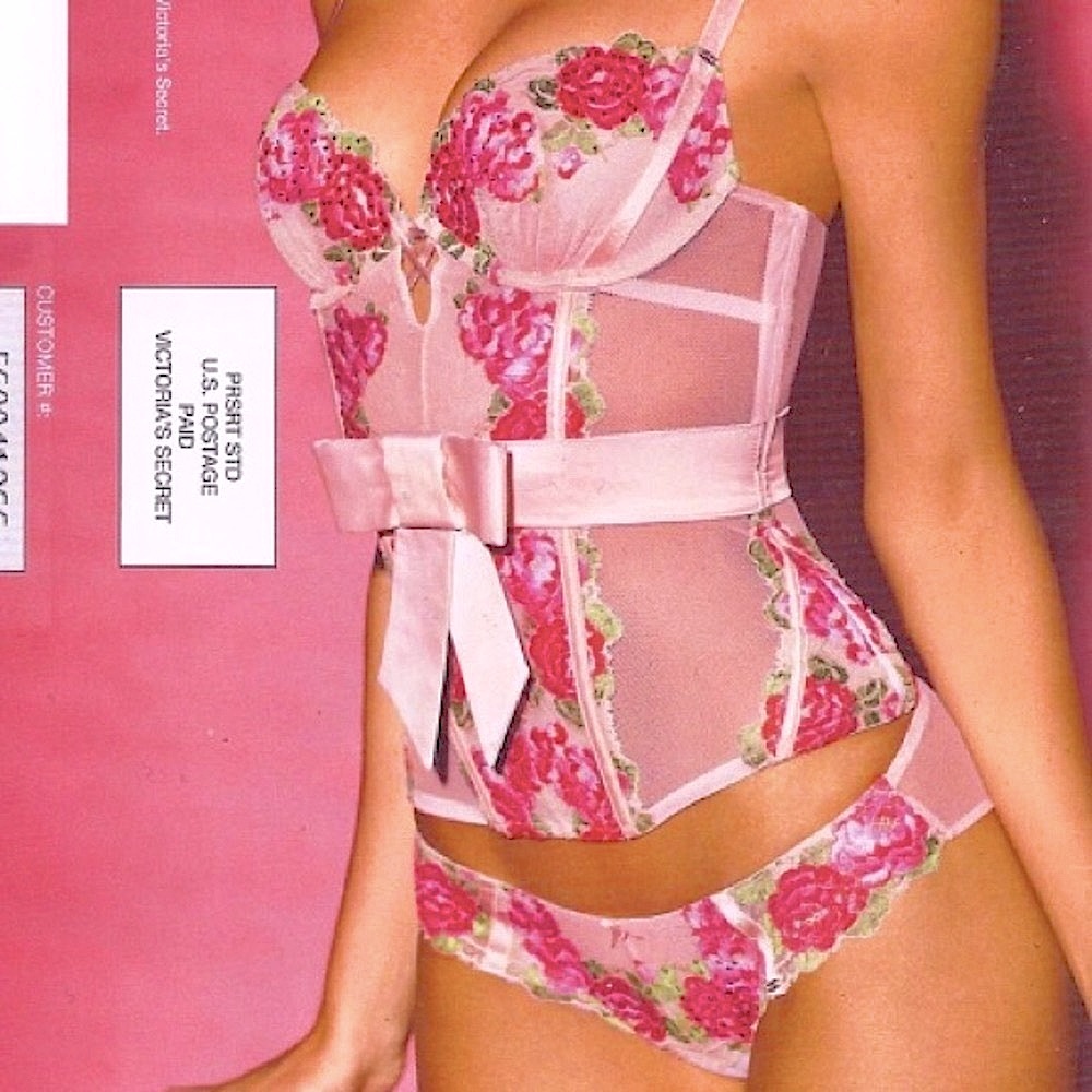 NWOT Victoria’s Secret RARE Rose Crystal Lace Mesh Floral Panty, M